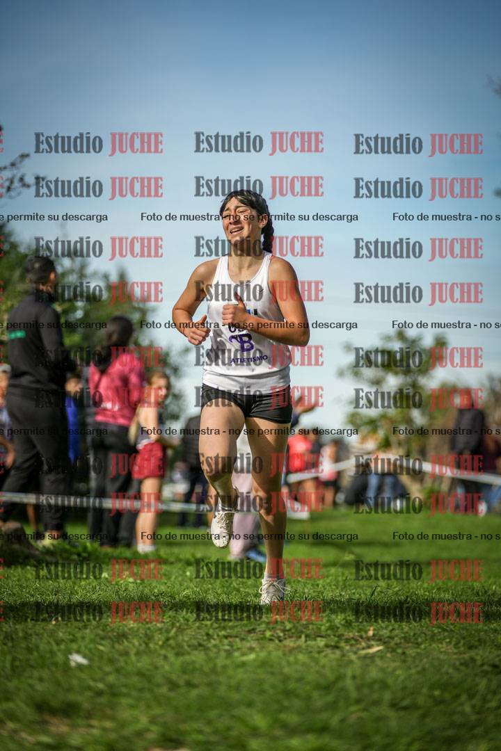Fotos de la llegada del cross de 1500 m