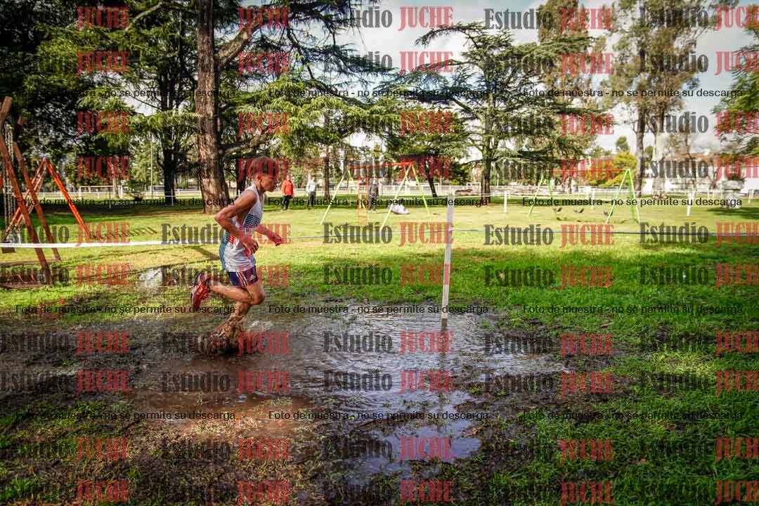 Fotos en el circuito