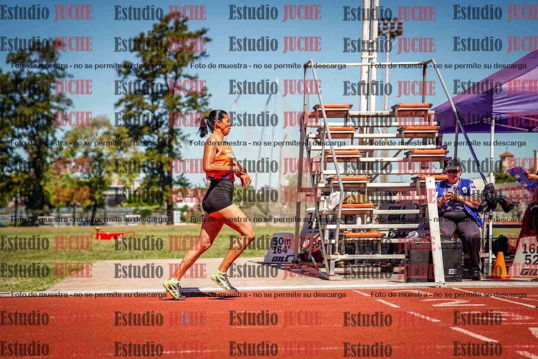 Fotos de los 800 m llanos de mujeres