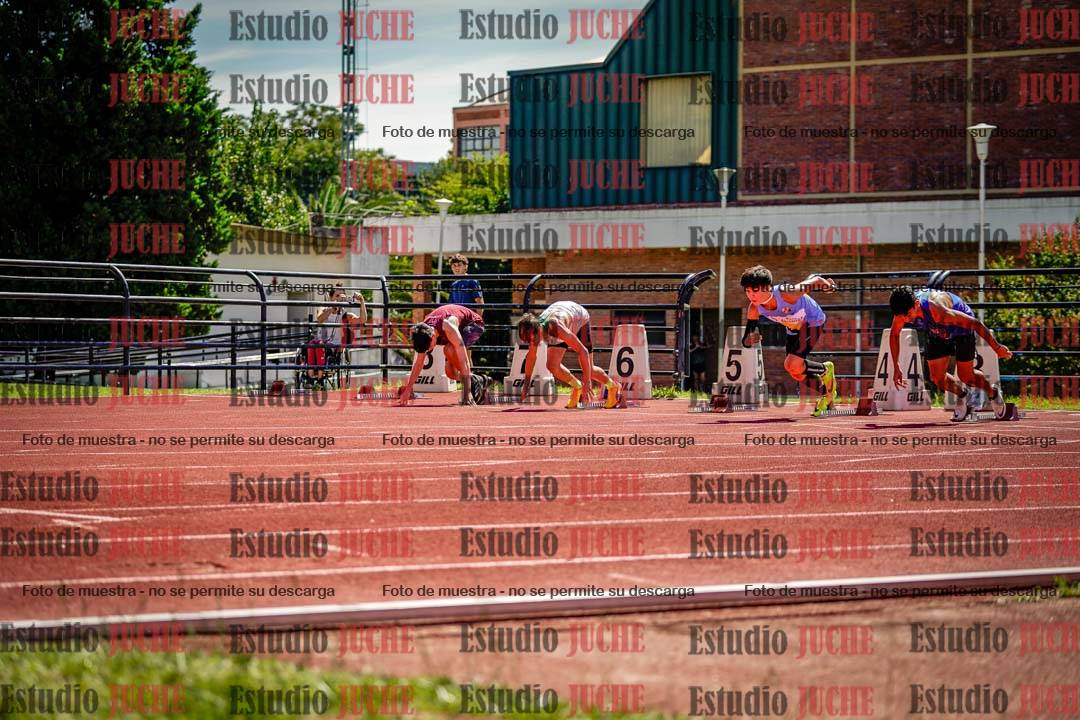 Fotos de los 110 m con vallas de varones