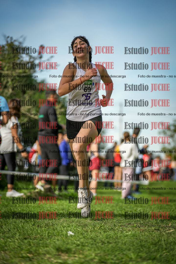 Fotos de la llegada del cross de 1500 m