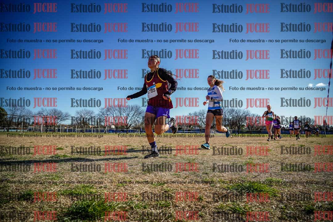 Fotos en el circuito
