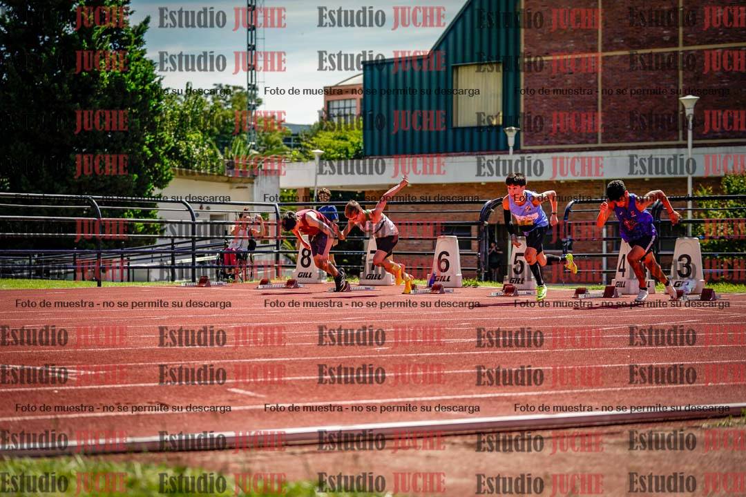 Fotos de los 110 m con vallas de varones