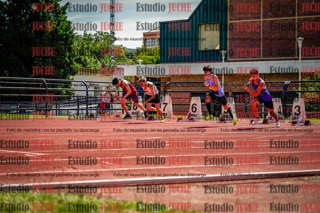 Fotos de los 110 m con vallas de varones