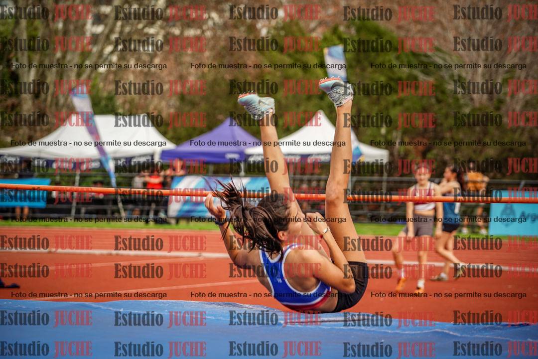 Fotos del salto en alto de mujeres - heptatlón 2
