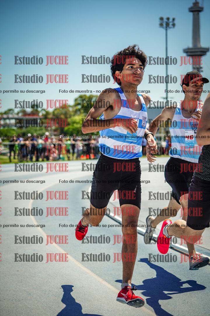 Fotos de los 800 m llanos de varones