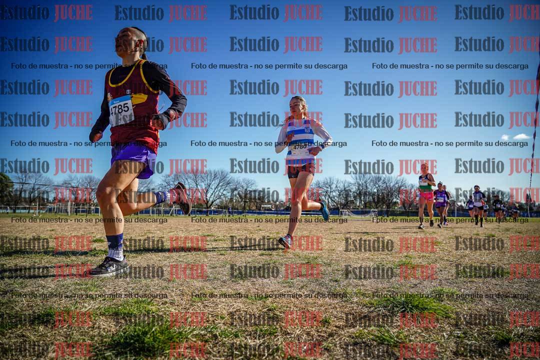 Fotos en el circuito