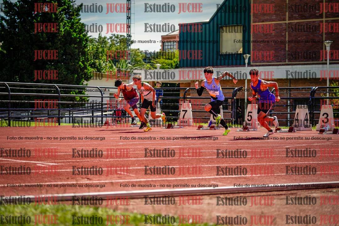 Fotos de los 110 m con vallas de varones