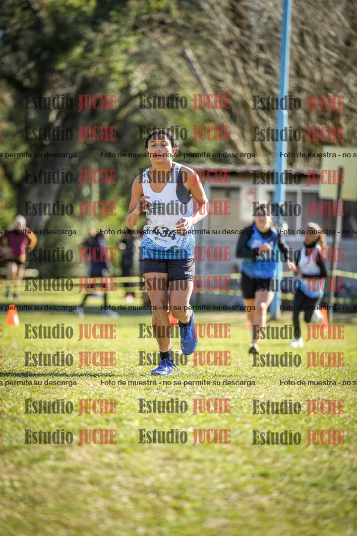Fotos de la llegada del cross de 2000 m