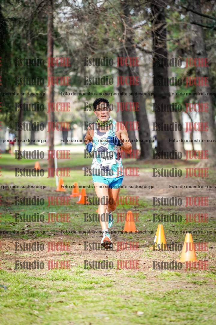 Fotos en el circuito