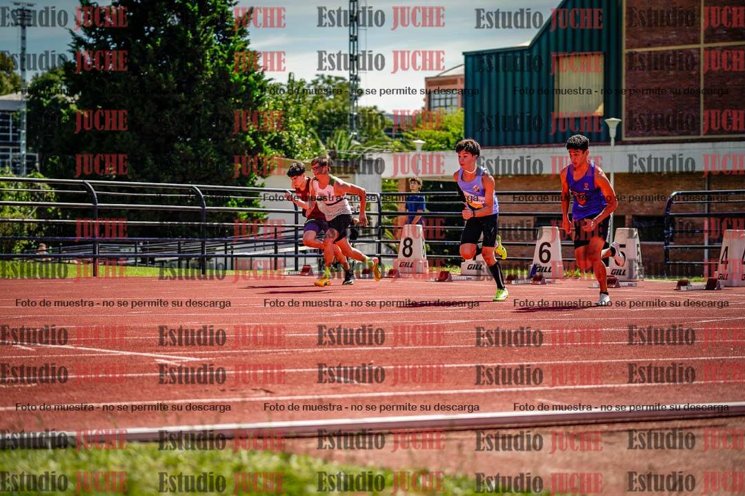Fotos de los 110 m con vallas de varones
