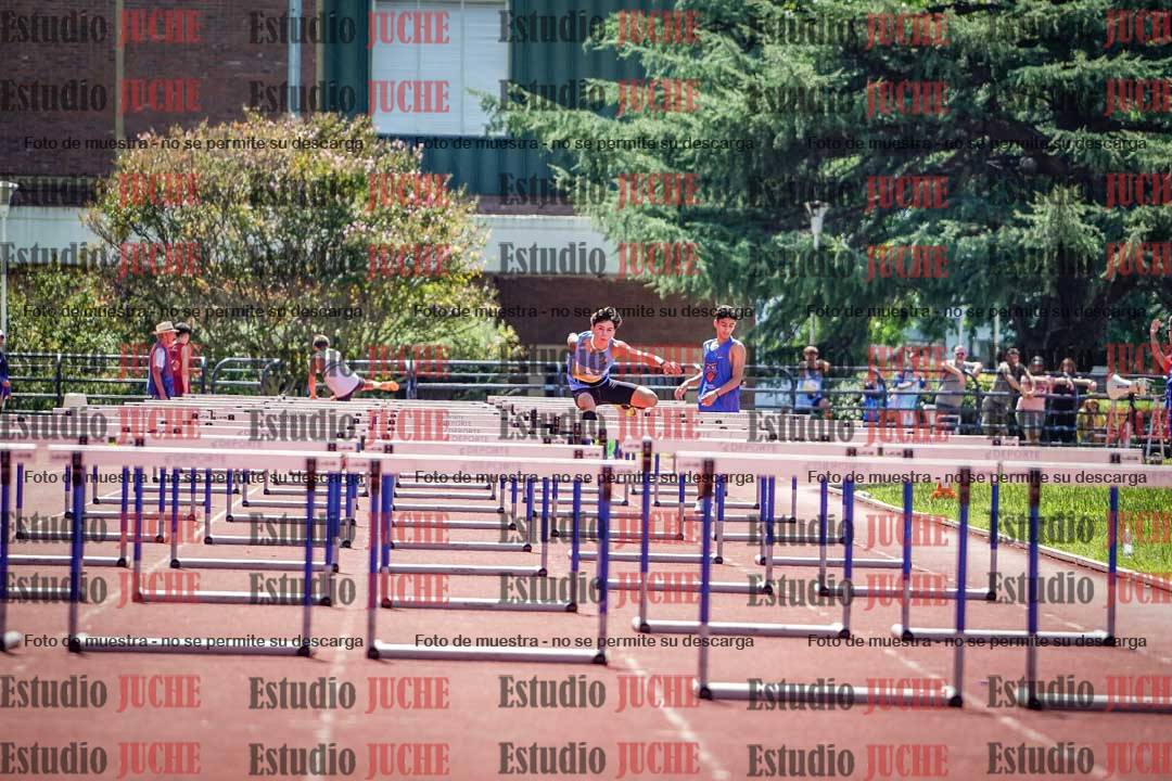 Fotos de los 110 m con vallas de varones