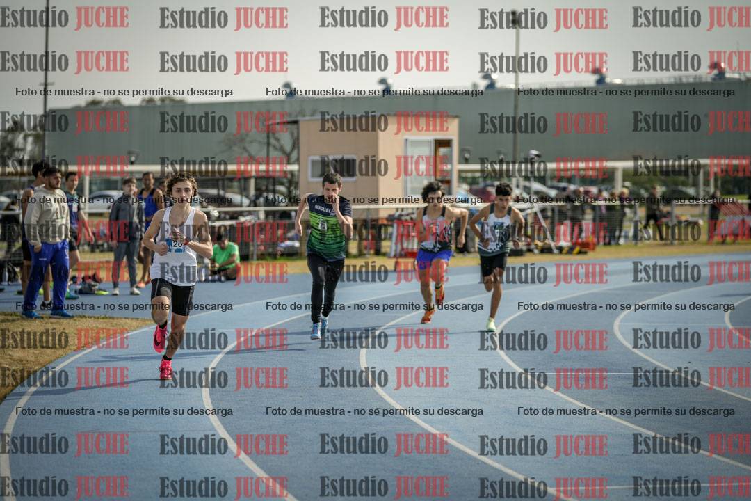 Fotos de los 800 m llanos de varones