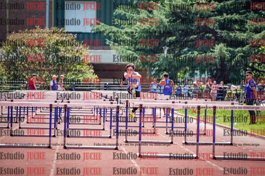 Fotos de los 110 m con vallas de varones