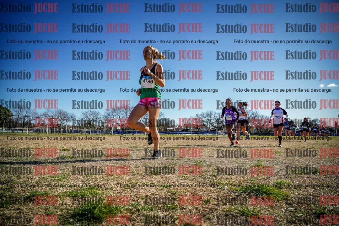 Fotos en el circuito