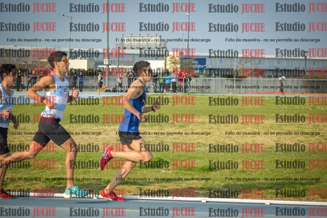 Fotos de los 3000 m llanos de varones