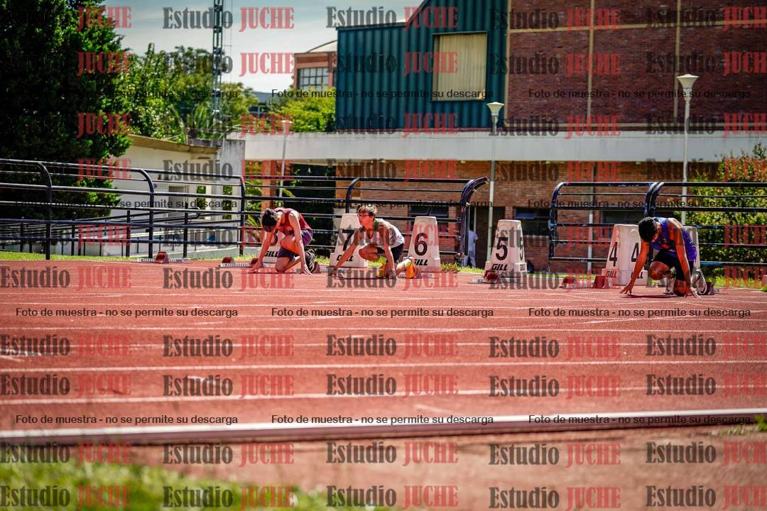 Fotos de los 110 m con vallas de varones