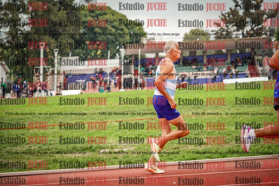 Fotos de los 800 m llanos de varones