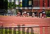 Fotos de los 110 m con vallas de varones