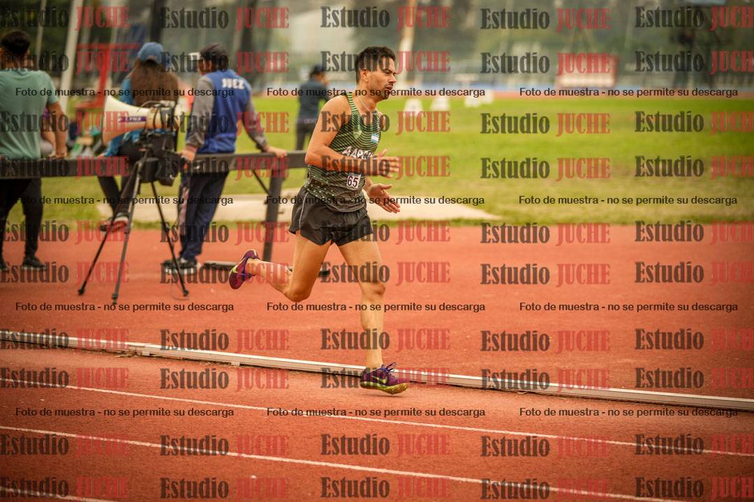 Fotos de los 800 m llanos de varones