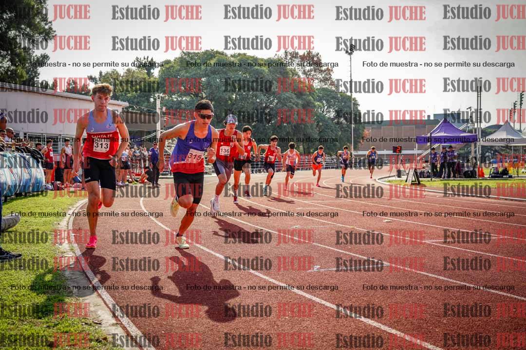 Fotos de los 800 m llanos de varones