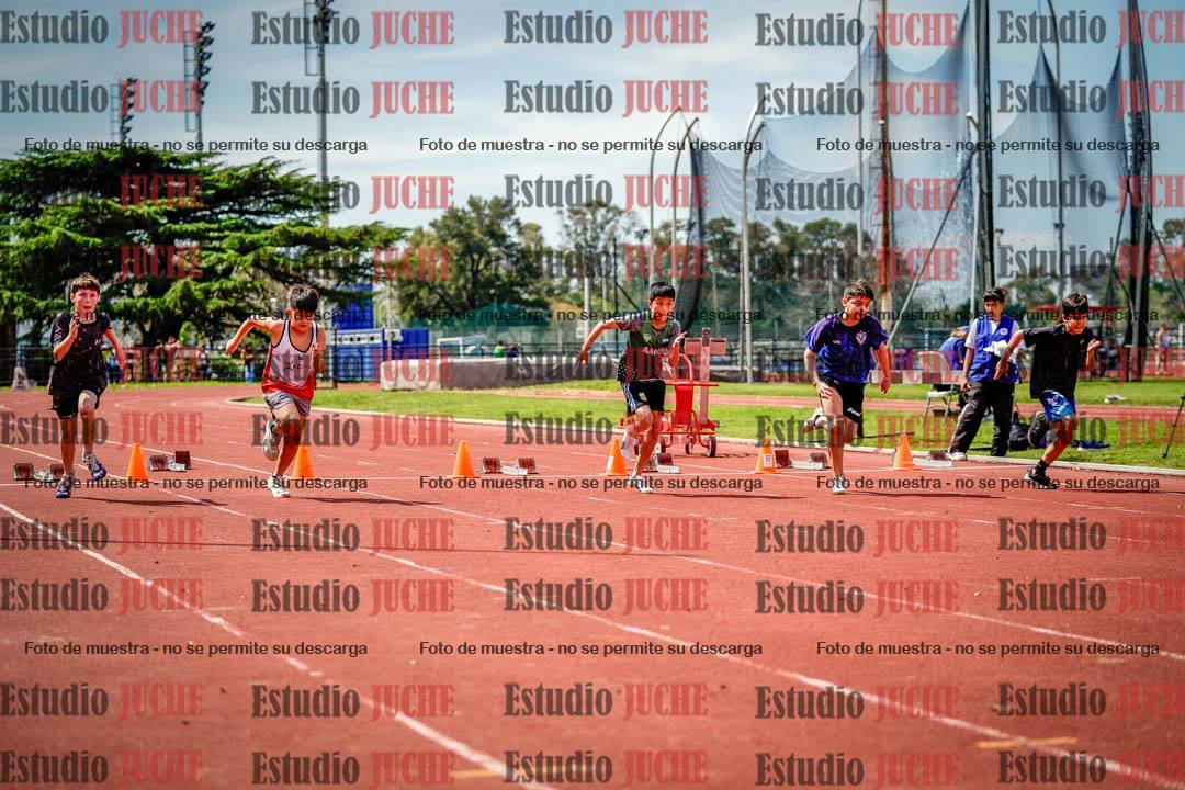 Fotos de los 50 m llanos de varones