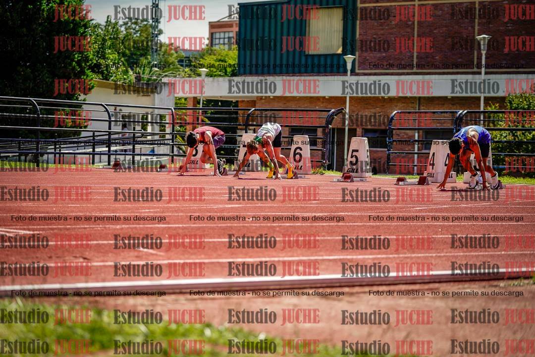 Fotos de los 110 m con vallas de varones