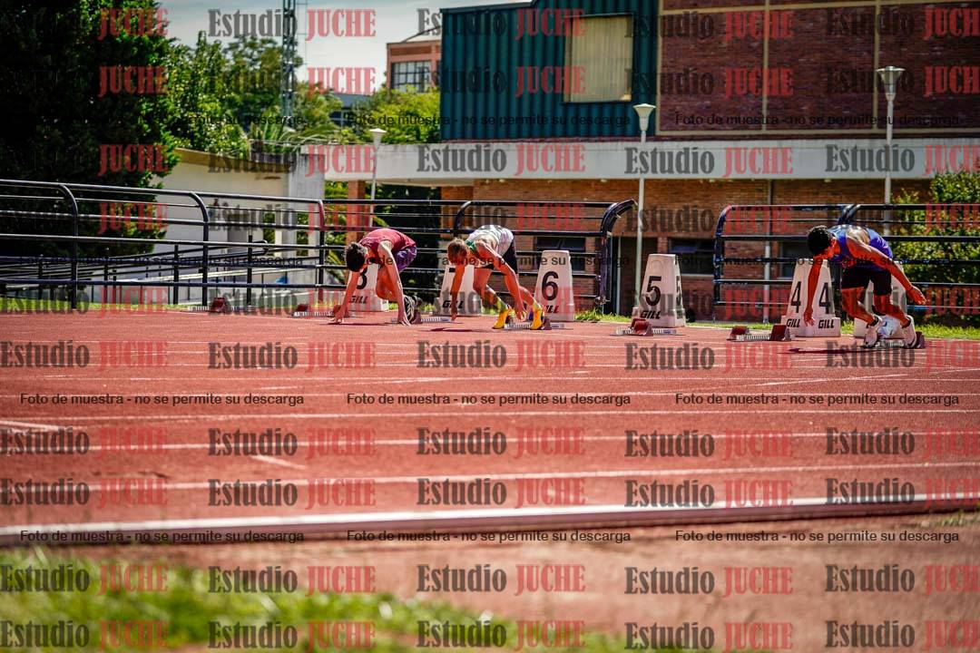 Fotos de los 110 m con vallas de varones