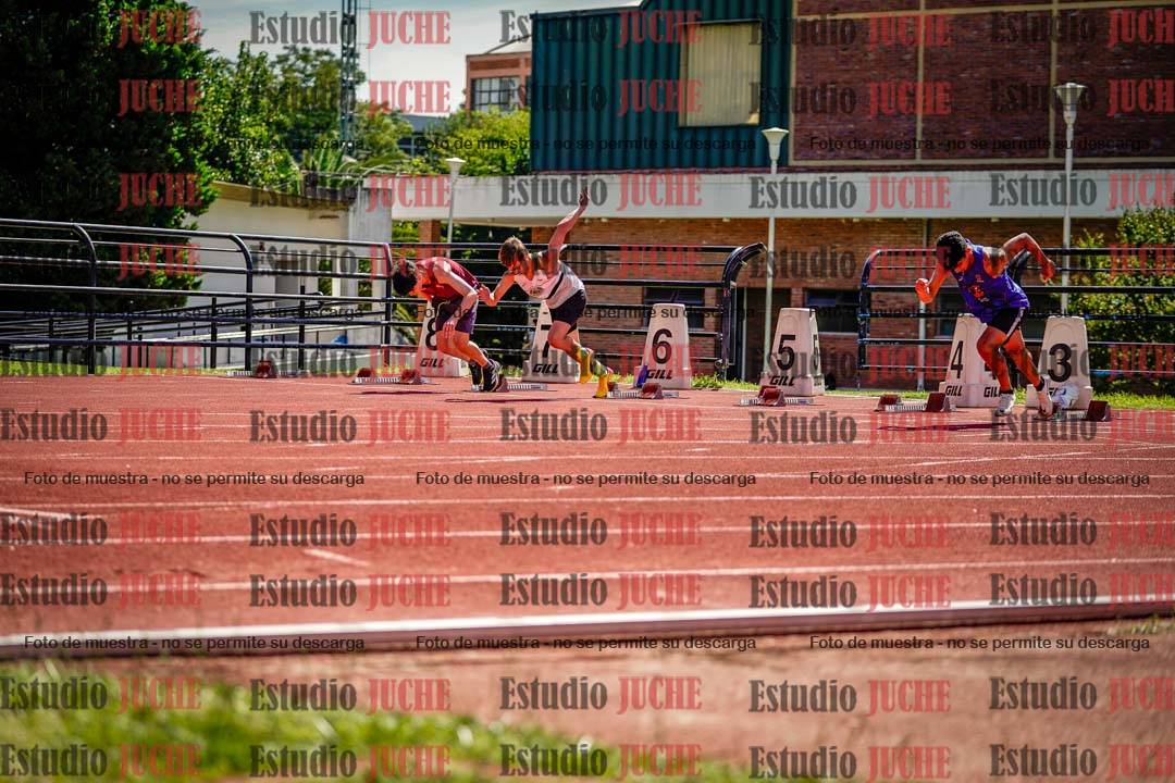 Fotos de los 110 m con vallas de varones