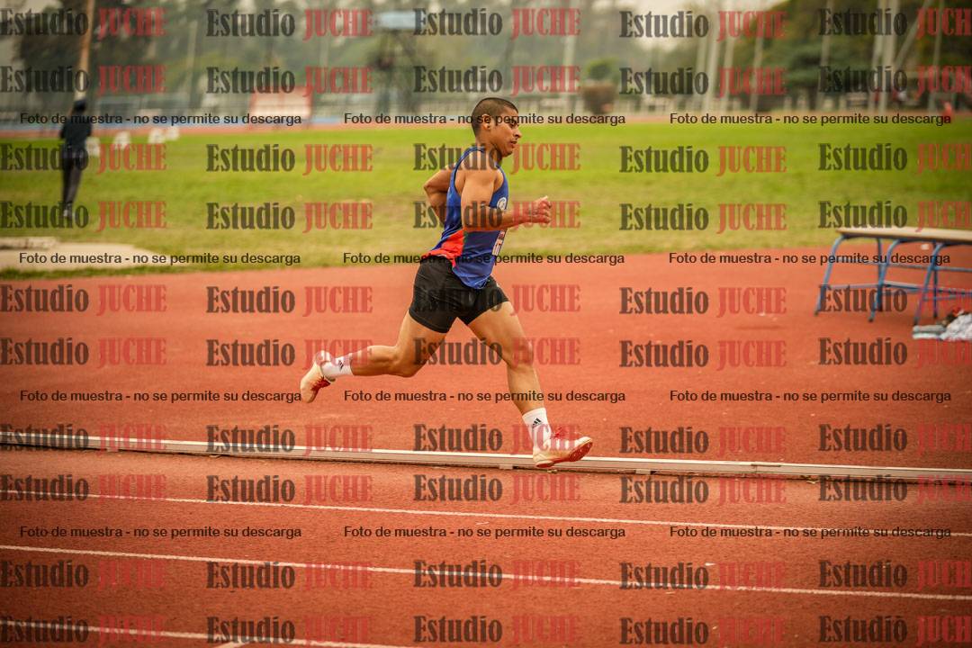 Fotos de los 800 m llanos de varones