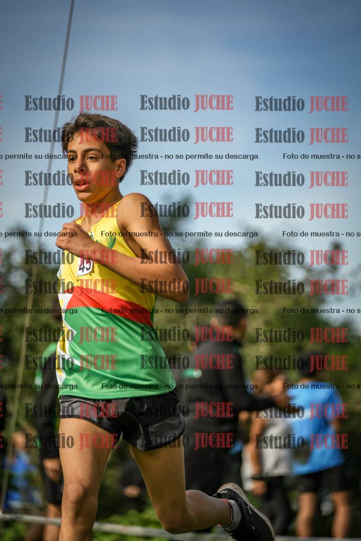 Fotos de la llegada del cross de 1500 m