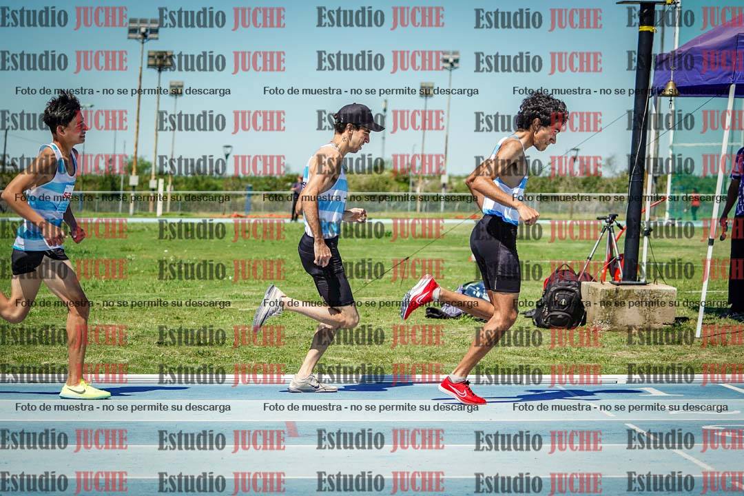 Fotos de los 800 m llanos de varones