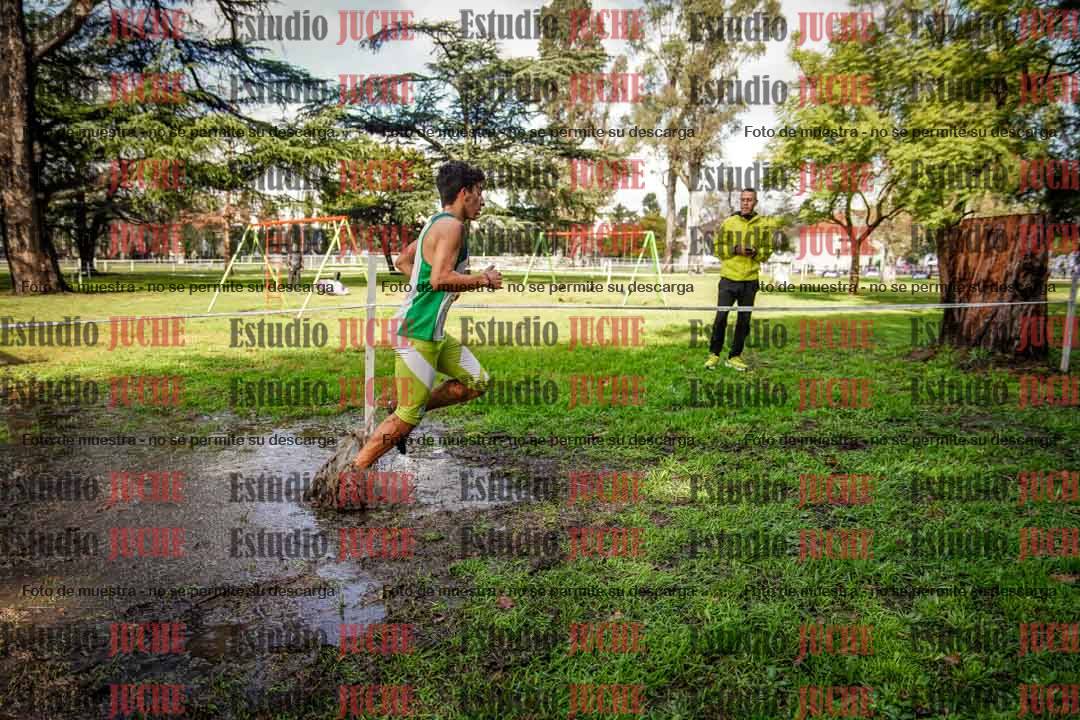 Fotos en el circuito