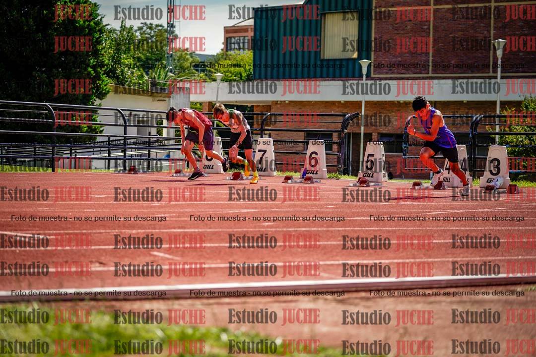 Fotos de los 110 m con vallas de varones