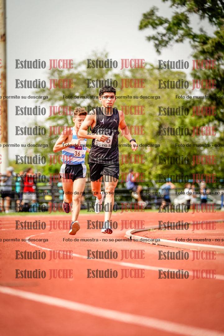 Fotos de los 3000 m llanos de varones