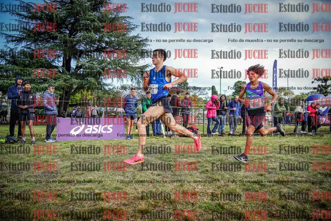 Fotos en el circuito
