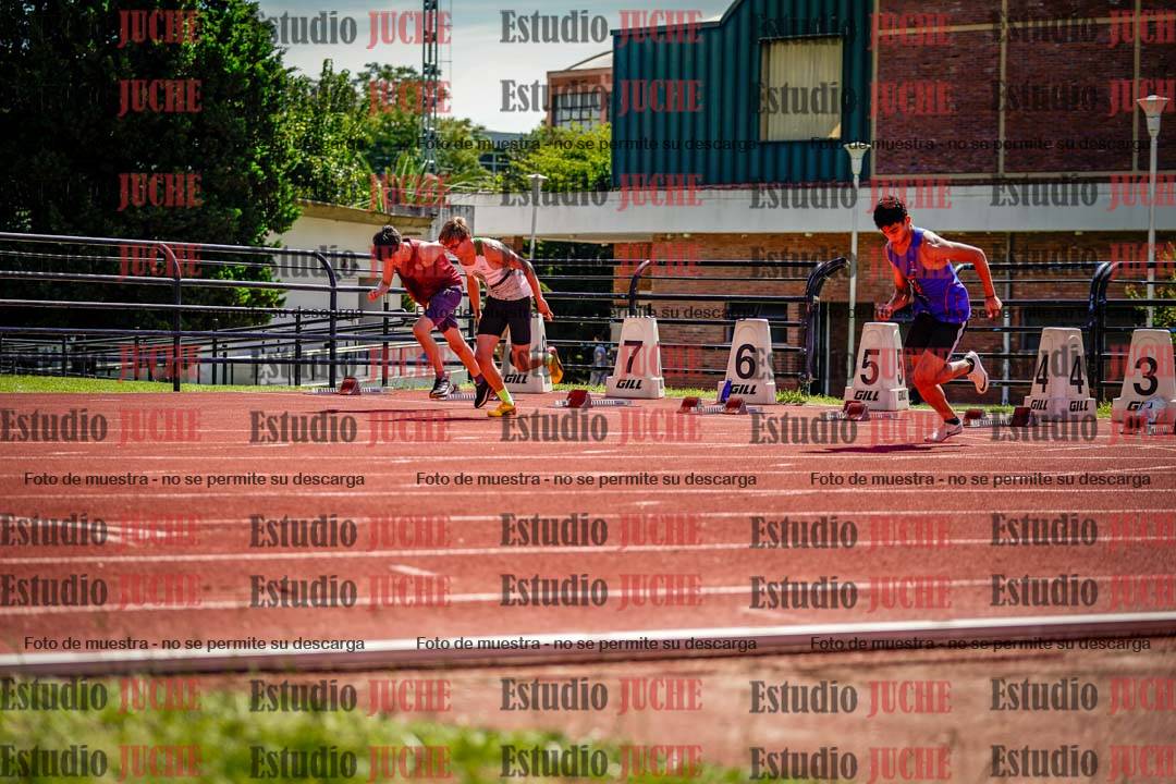 Fotos de los 110 m con vallas de varones