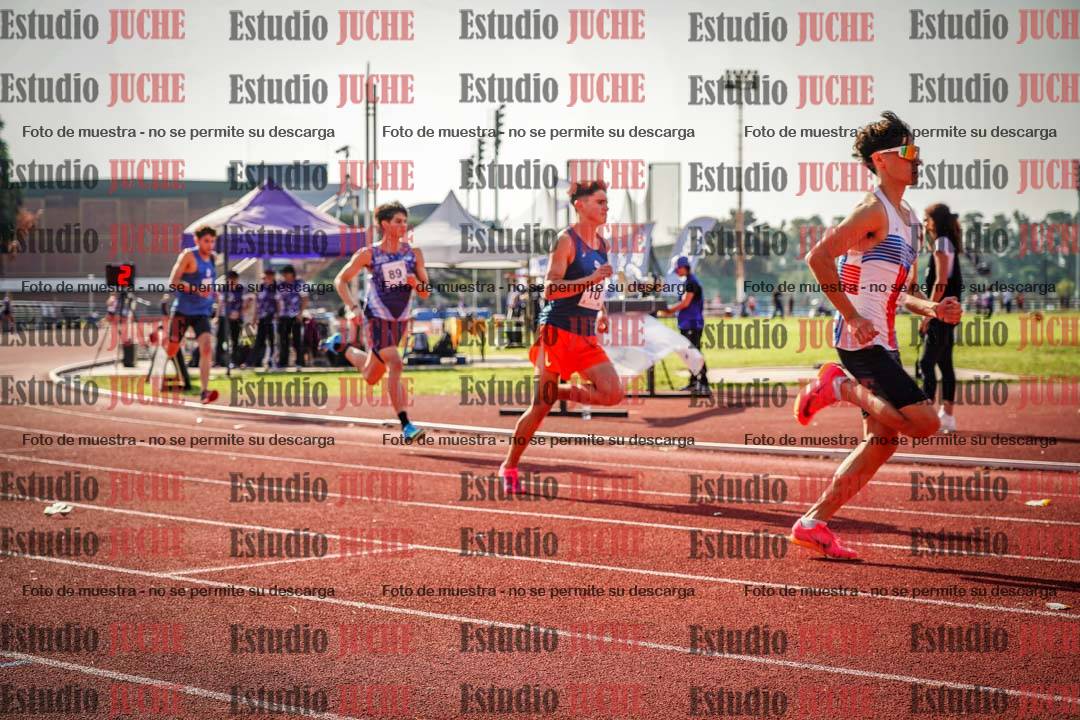 Fotos de los 800 m llanos de varones