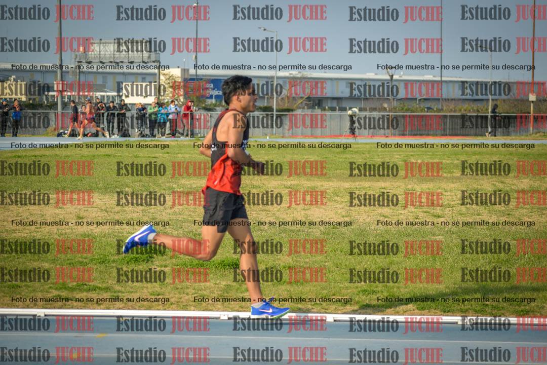 Fotos de los 3000 m llanos de varones