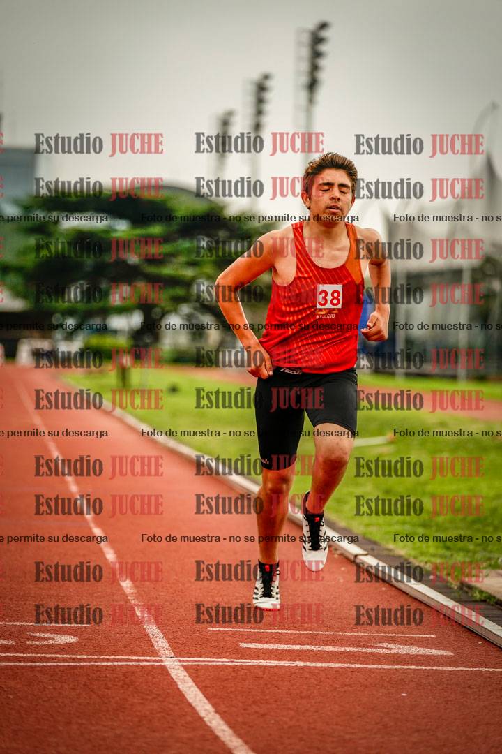 Fotos de los 800 m llanos de varones