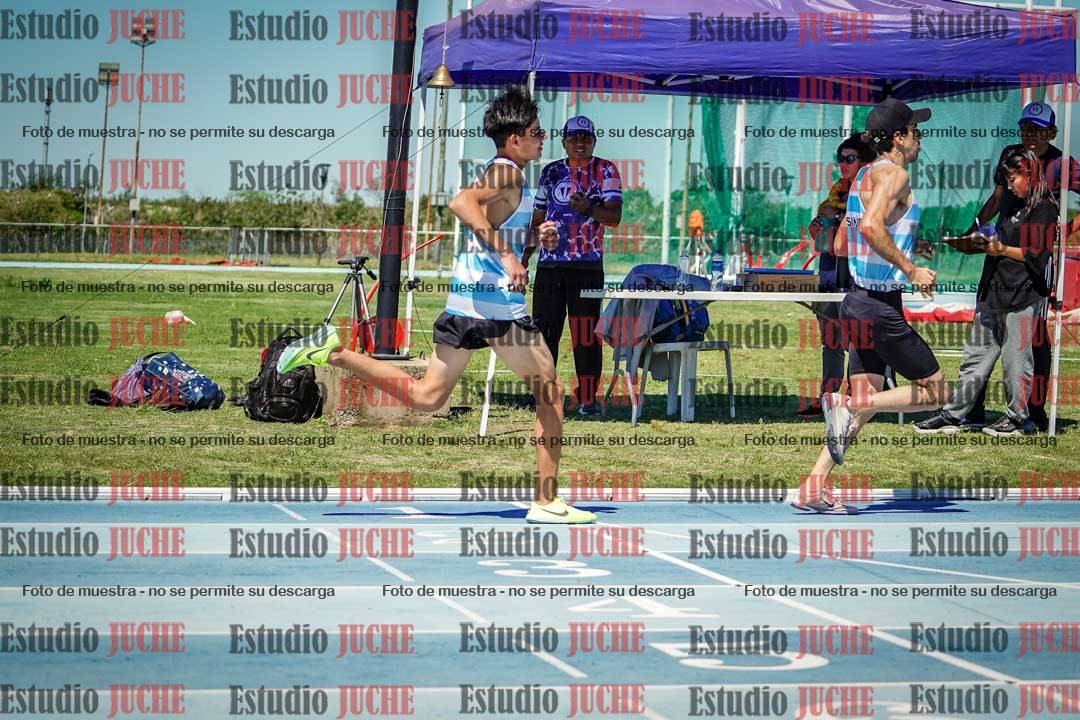Fotos de los 800 m llanos de varones