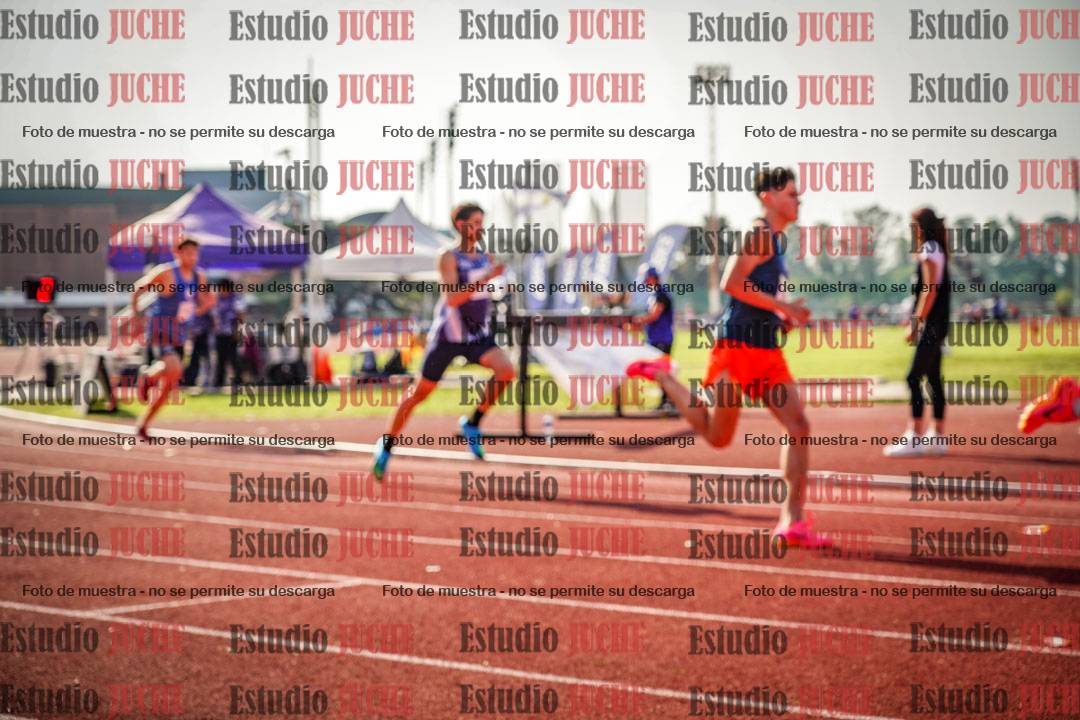 Fotos de los 800 m llanos de varones