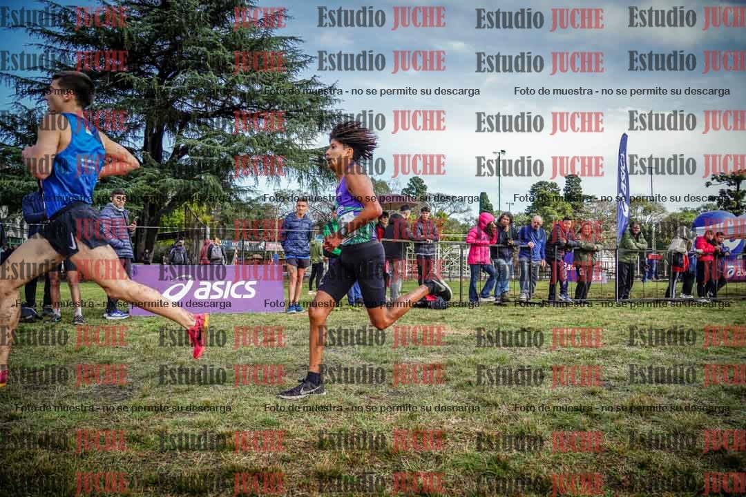 Fotos en el circuito