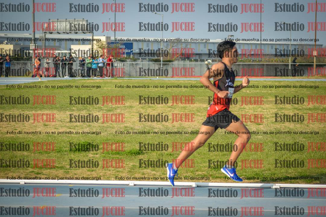 Fotos de los 3000 m llanos de varones