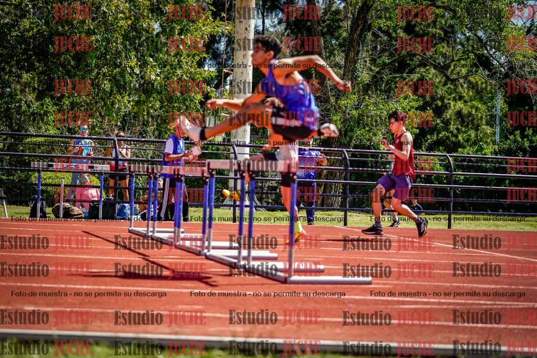 Fotos de los 110 m con vallas de varones