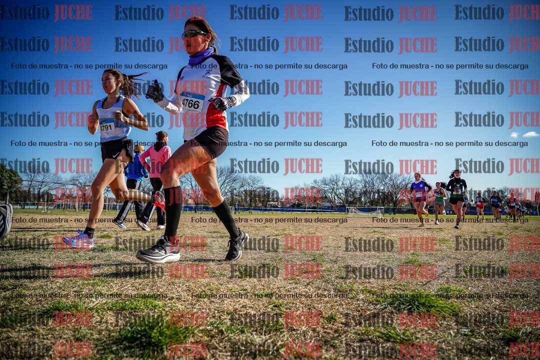 Fotos en el circuito