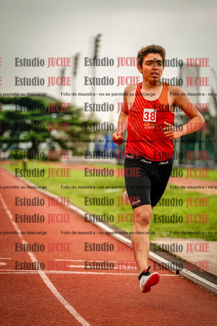 Fotos de los 800 m llanos de varones