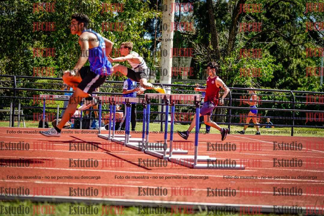 Fotos de los 110 m con vallas de varones