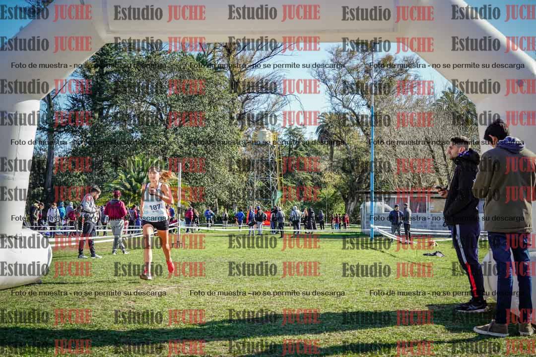 Fotos de la llegada del cross de 6000 m