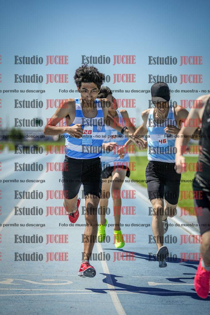 Fotos de los 800 m llanos de varones